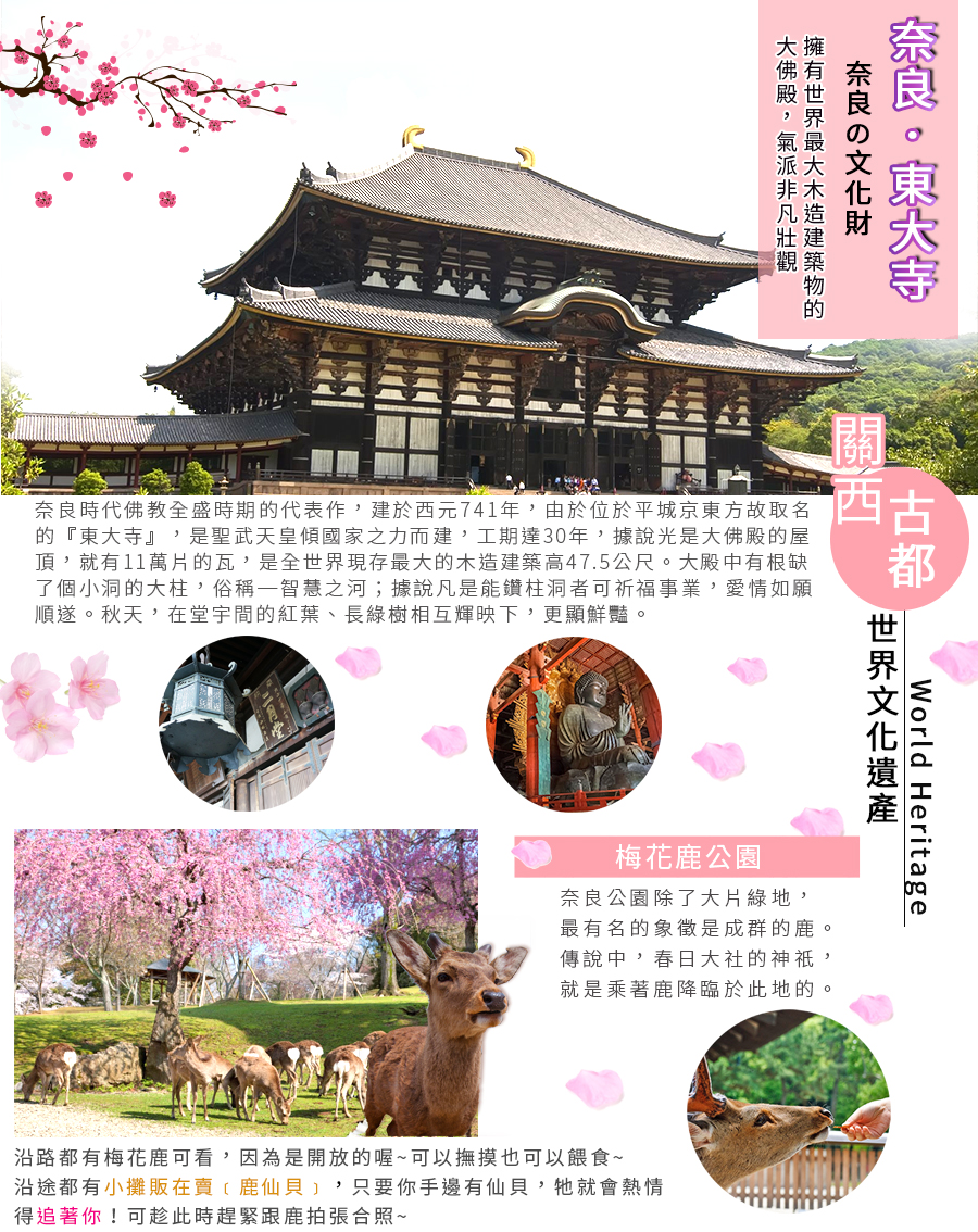 水上巴士.岚山漫步.东大寺.和歌山电车5日