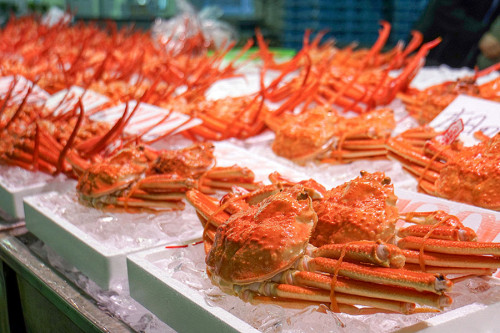 行程特色圖片