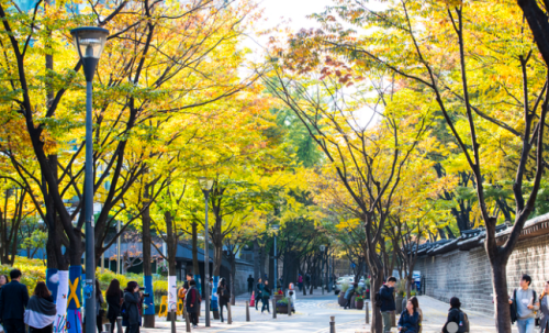 行程特色圖片