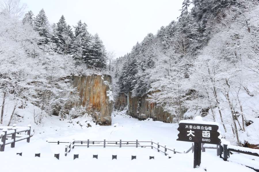 大雪山國立公園