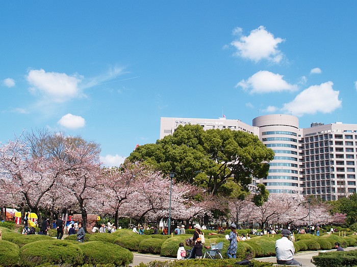 精選春櫻京阪美湯 嵐山渡月橋 奈良公園 清水寺 鶴舞公園 溫泉5日