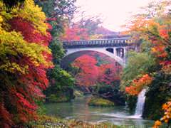 北陸京都紅葉名所 白川鄉合掌村 鶴仙溪 京都哲學之道 金澤兼六園 三方五湖 高山古街 溫泉5日