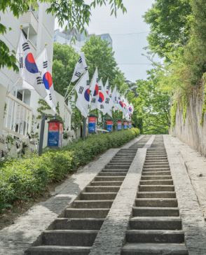 31萬歲運動路
