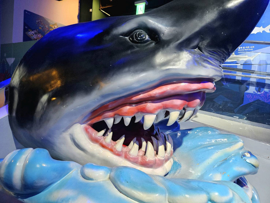 Sea Life Coex 水族館