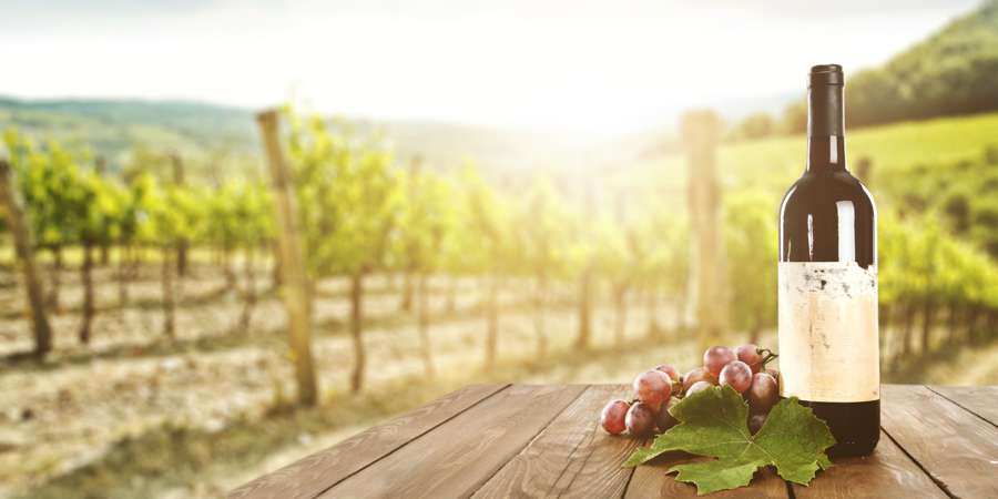 坦伯林山丘酒莊Mt. tamborine winery