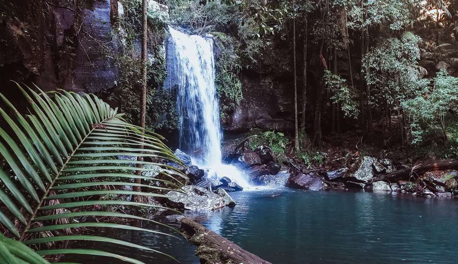柯蒂斯瀑布Curtis Falls