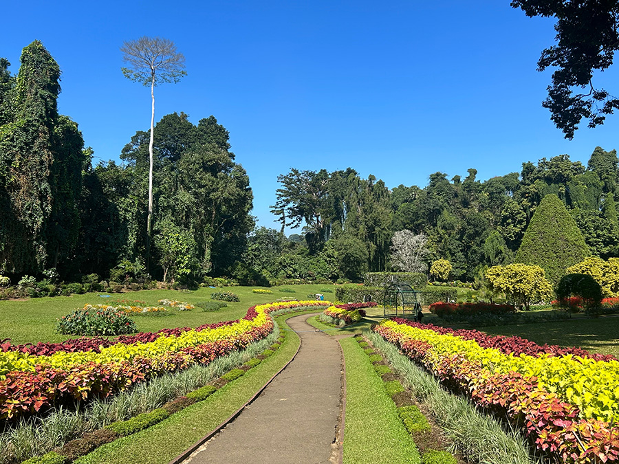 佩拉德尼亞皇家植物園
