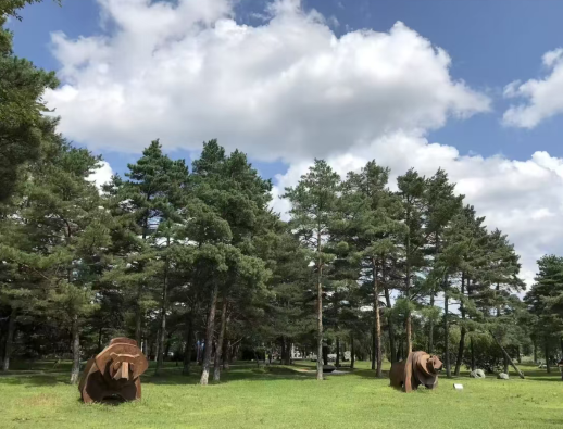 長白山的美人松公園