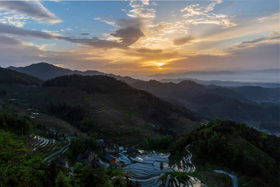 紫鵲界梯田