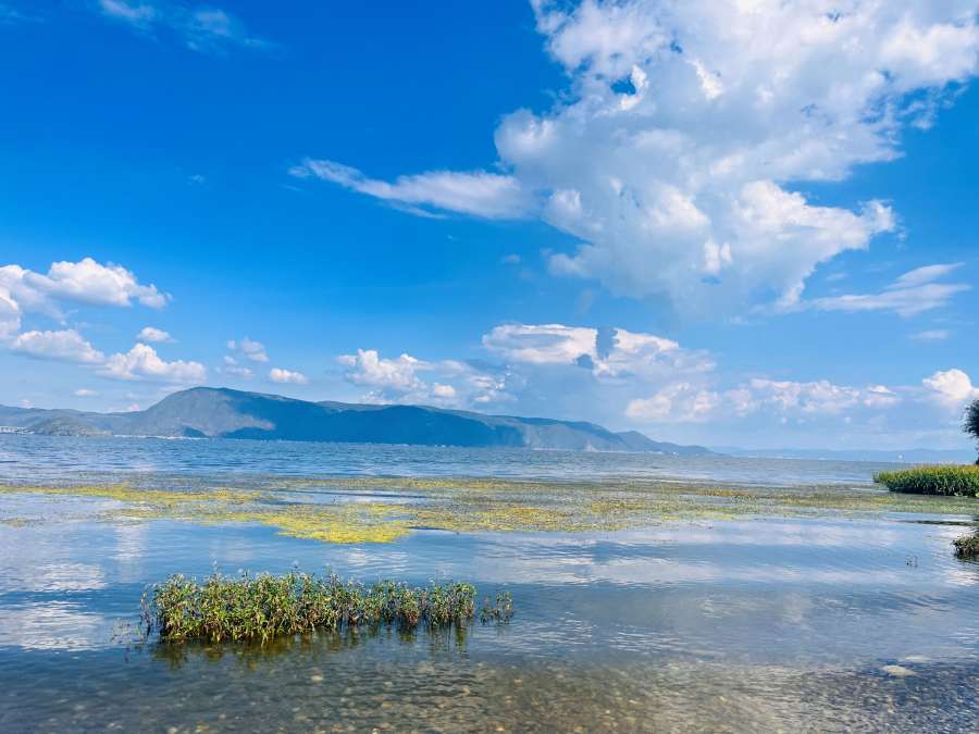 洱海