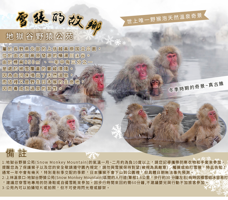 日本祕境 雪猴泡湯 善光寺 新穗高纜車 松本城 平湯雪場5日