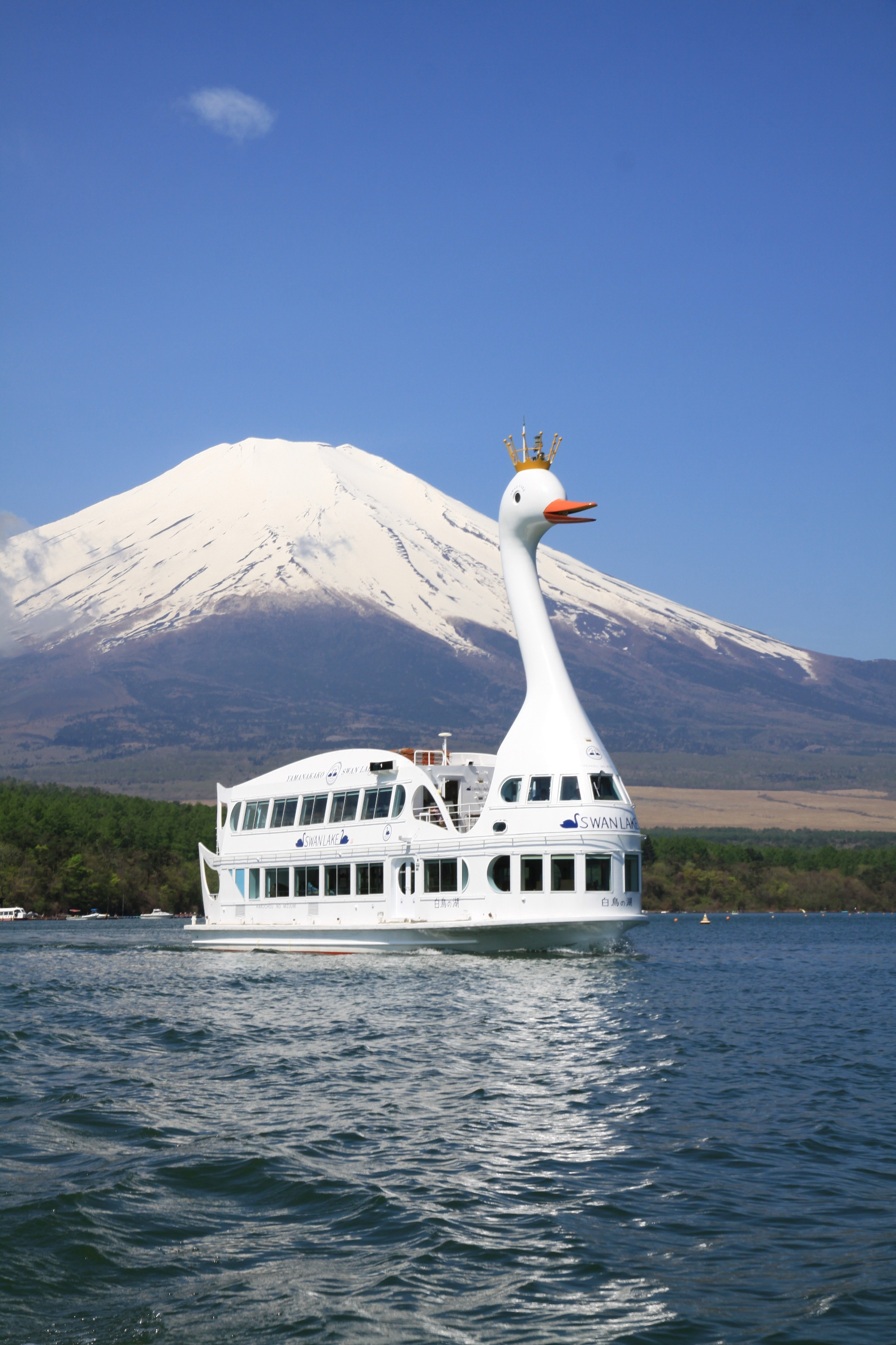 寒假出遊 富士山南麓yeti滑雪遊 迪士尼 Kitty樂園 山中湖白鳥遊5日 早 晚