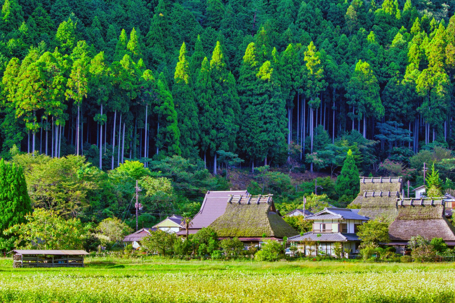 美山町合掌村