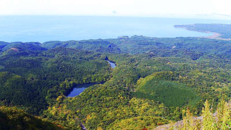 白神山地