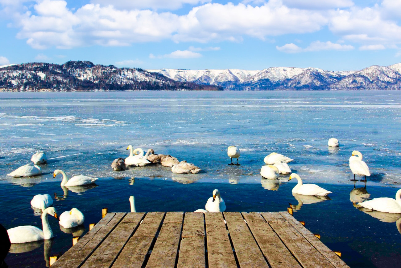 高雄直飛。北海道。必訪景點