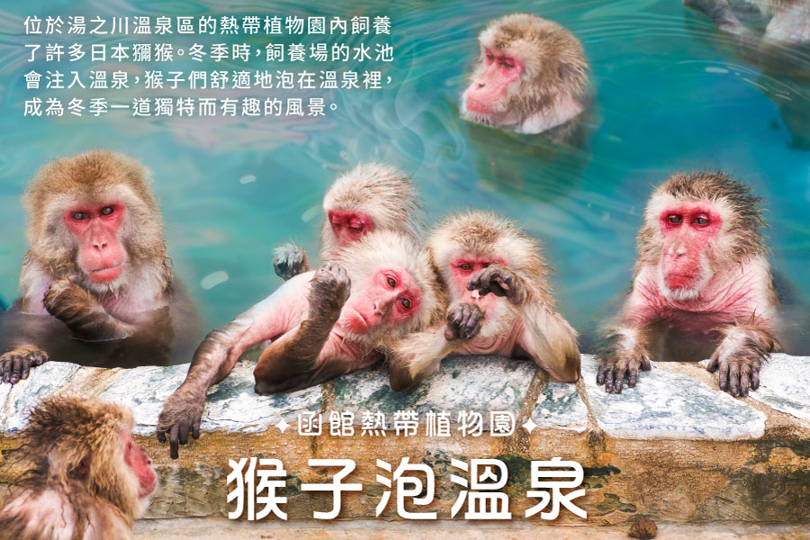 行程特色圖片