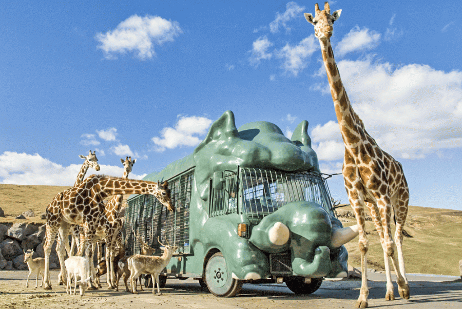 九州自然動物園