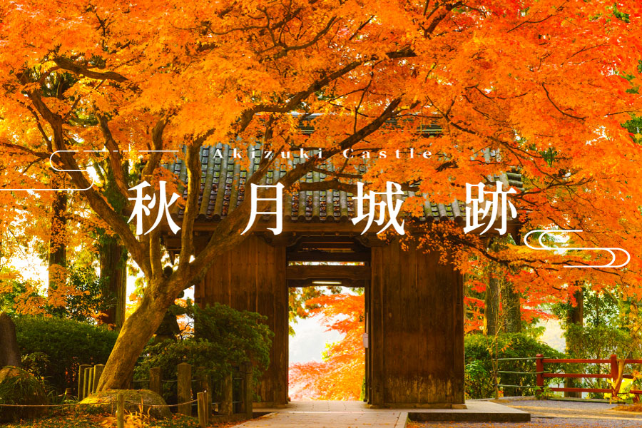 行程特色圖片