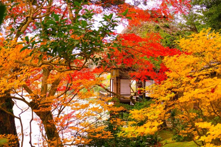 臥龍山莊