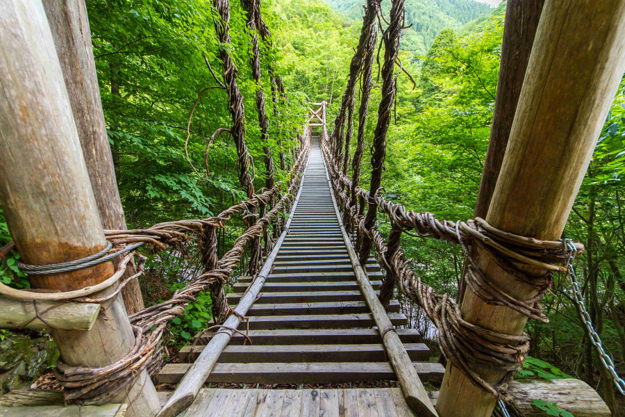 三好祖谷葛橋